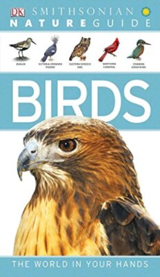 Nature Guide: Birds: The World in Your Hands (DK Nature Guide) by 