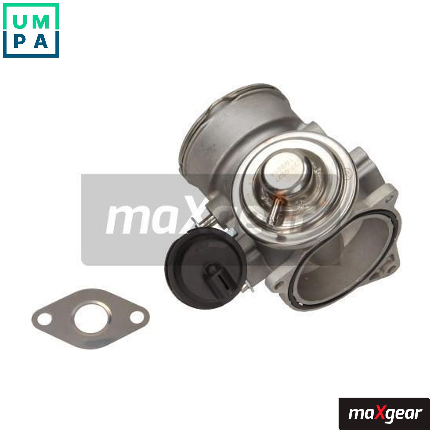 Walbro GSL392 255LPH - External Fuel Pump With AN-6 (JIC-6) Adapters In Black