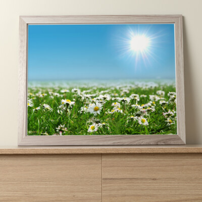 Blumen - schöne hübsche! : 10''x8'' Professional Photo