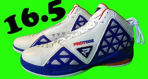 al harrington protege