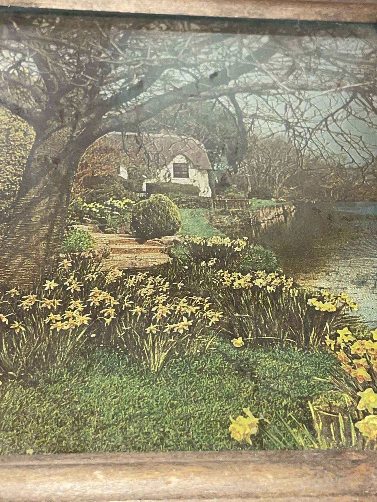 Foto 2 di 12