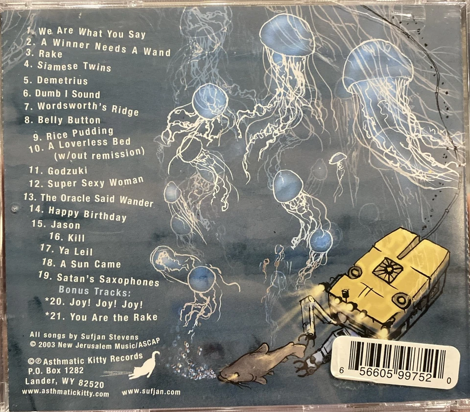 Sun Came by Sufjan Stevens (CD, 2004) - Imagem 3 de 3