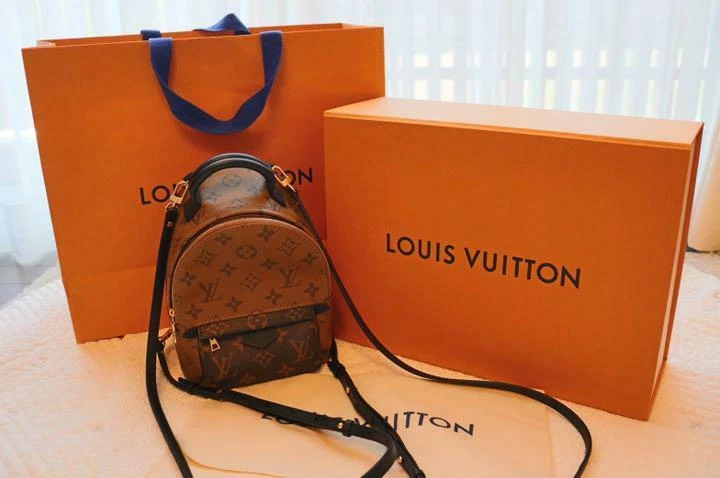 Louis Vuitton Palm Springs Backpack MINI Reverse Monogram bag M42411