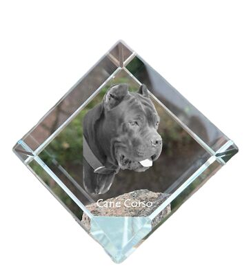 Cane Corso, Italian Cane Corso crystal cube with a photo, photo of a  horse in