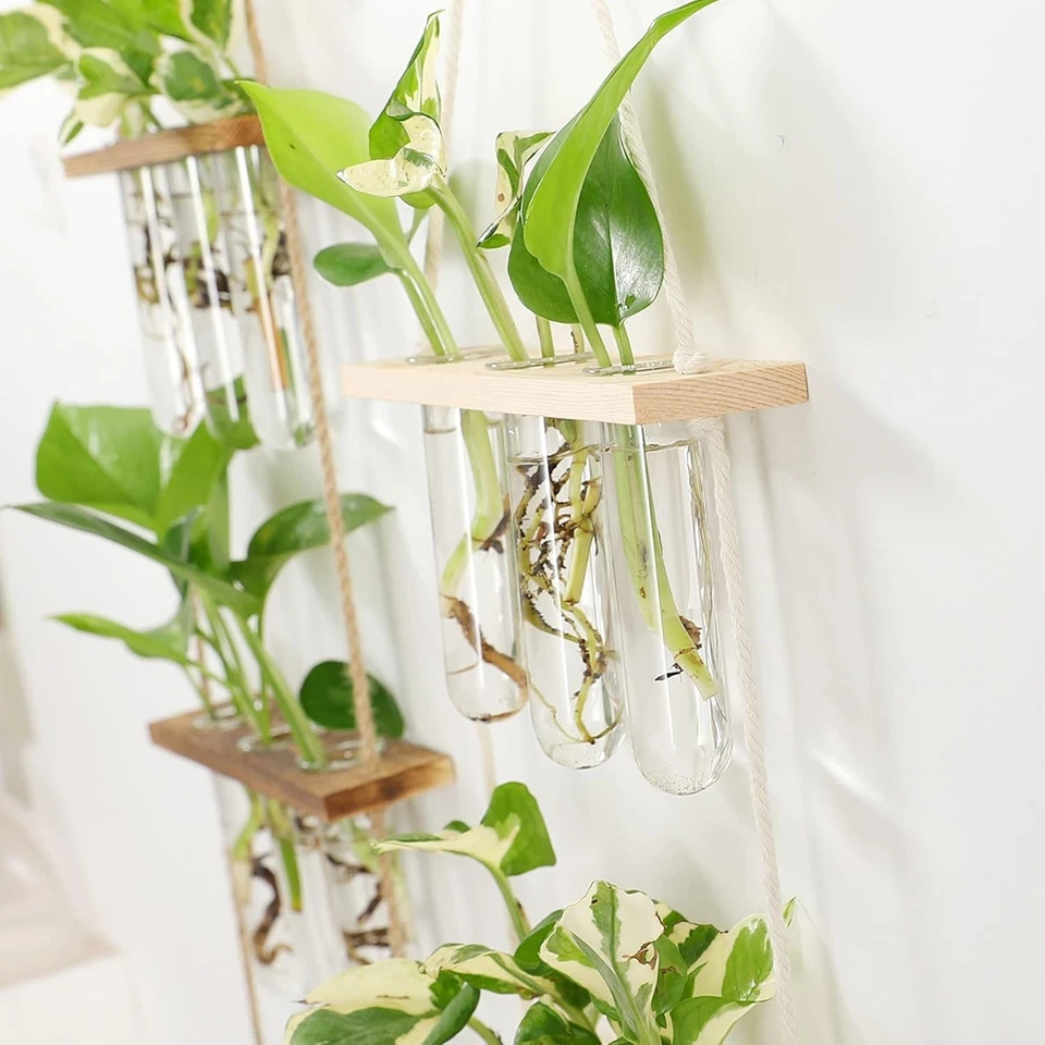 Mini Reagenzglas Vase 3 Stöckig Holzständer Hydrokultur Hausgarten Büro Dekor - Bild 2 von 4