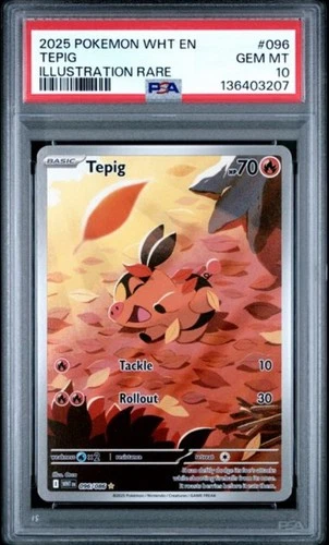 PSA 10 GEM MT - Pokemon White Flare - Tepig - 096/086 - Illustration Art Rare