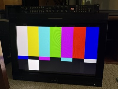 Sony BVM-L231 Broadcast Monitor 6k Hours with BKM-16R BKM-243HS HD-SDI