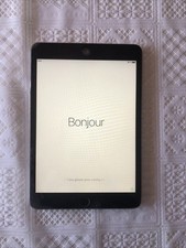 iPad mini 1