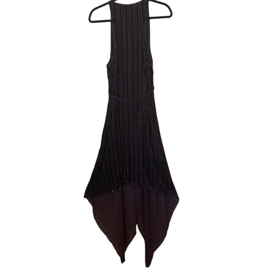 Maxi Vestido Robert Rodriguez Borgoña Rayas Terciopelo Burnout Dobladillo Asimétrico Talla 10 Foto 3 de 4