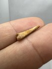 Foto 4 di 13