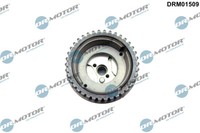 DRM01509 Dr.Motor Automotive Nockenwellenversteller FüR Nissan