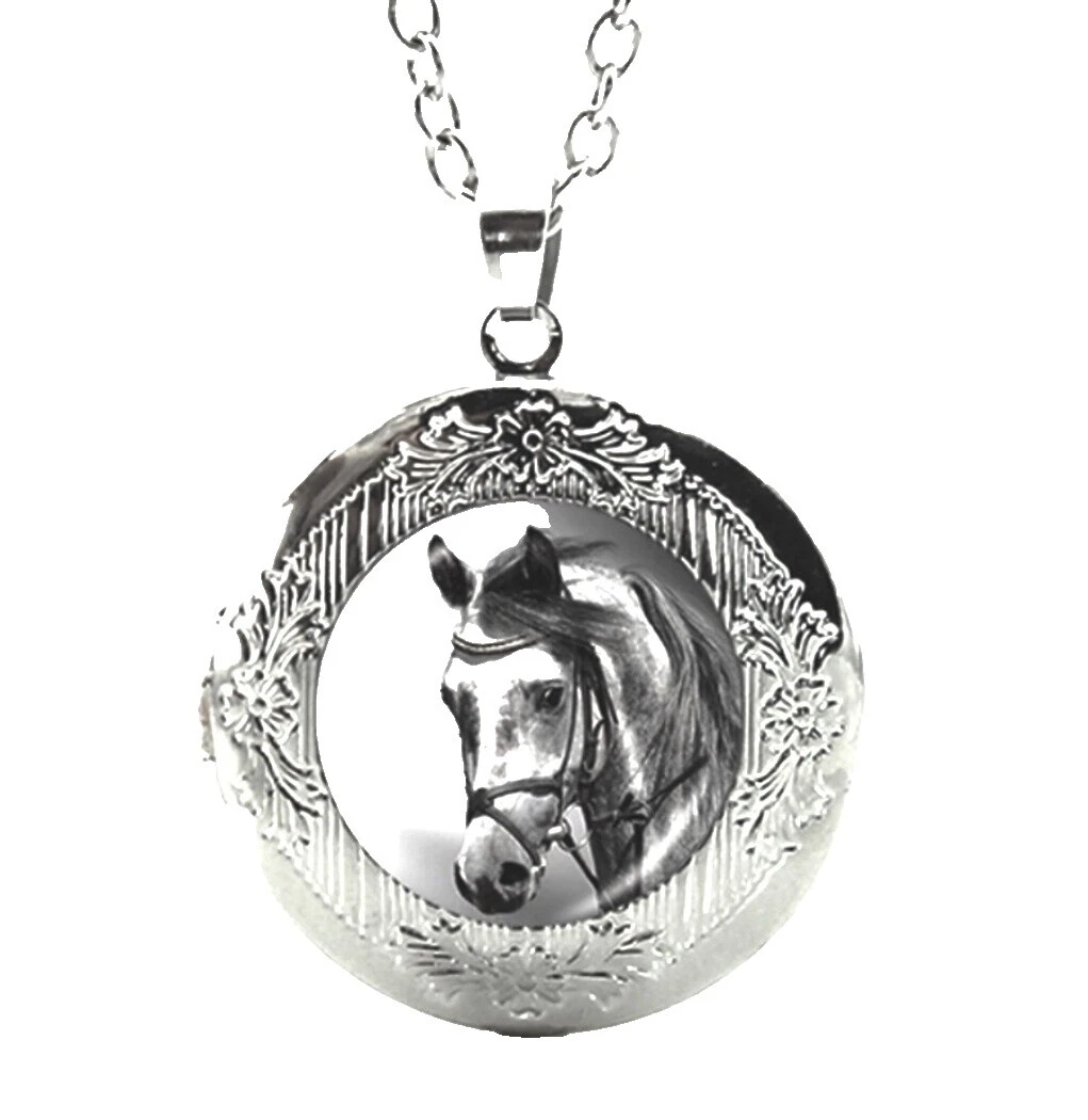 Модные ожерелья и кулоны с драконом аметистом