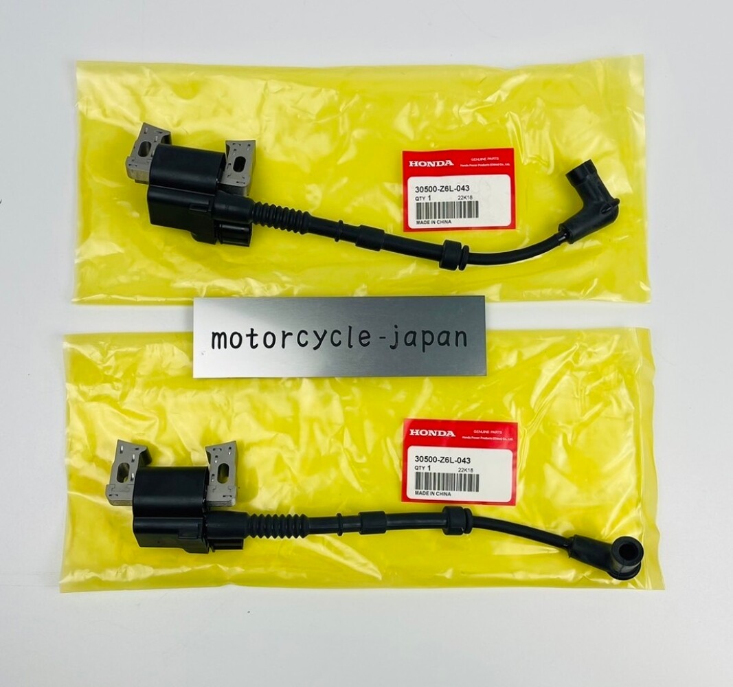 バッグ TYPE-G Honda Genuine GX630 GX660 GX690 GXV630 GXV660 Ignition Coil 30500