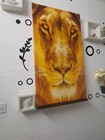 FEMALE LIONESS CLOSE UP PORTRAIT - Abstract Print (20"x40") 18mm AOAY4516
