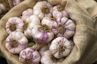 Garlic seёds, 125 garlic Sophia seёds ,Ukrainian organic seёds, SW396 +TRACK №