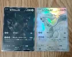 Zekrom and Kyurem EX Japanese Fan Art Card