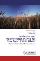 Molecular And Morphological Analysis For Stay Green Trait In Wheat Singh (U. A.)