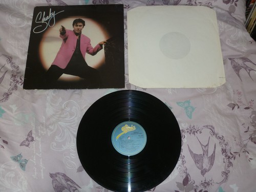 80s 1980s VINYL LP RECORDS, CHOOSE FROM LIST,  COMBINED P&P AT CHECKOUT JOB LOT - Bild 247 von 334