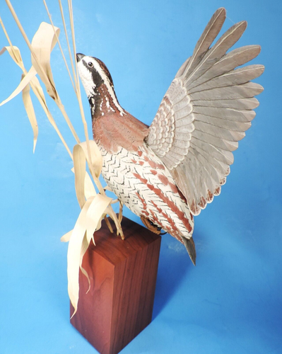 FIGURINA/SCULTURA originale QUAGLIA BOBWHITE" INTAGLIATA A MANO UCCELLINO in volo - Foto 5 di 15