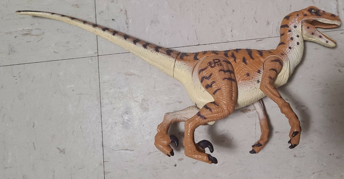 D【ジュラシックパーク】JURASSIC PARK DINOFOAM D ジュラシックパーク JURASSIC PARK DINOFOAM | eBay
