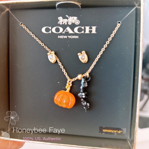 NWT COACH cz006 halloweenSkull And Pumpkin Mismatch Earrings/ Necklace 🎃💀! - Picture 4 of 18