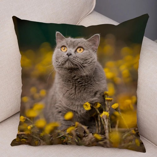 Funny Cute Cat Pillowcase Lovely Pet Animal Print Pillow Case Cushion Cover - Picture 37 of 72