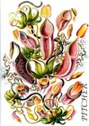 Bild 27 von 30