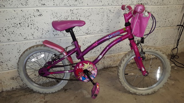 shopkins 14 inch bike
