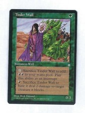 Tinder Wall - Ice Age - Magic The Gathering NM/M (Never Played)