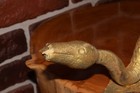 Picture 6 of 20
