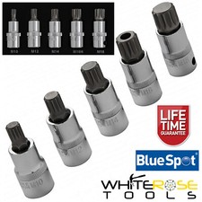 BlueSpot Spline Socket Bit Set EVA Foam Tray 5pc 1/2" Drive M10-M18