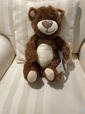 Hot Water Bottle in a Cuddly Bear by Fashy - Latex Free - new w/tags