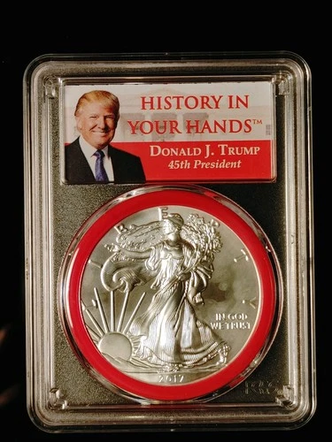 Photo of a 2017 American Silver Eagle from an eBay listing that sold on Jul 23, 2026