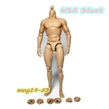 USA ZC Toys 1:6 Scale Muscular Body Action Figure For 12" Hot Toys Male Head Toy