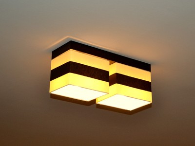 Deckenlampe Deckenleuchte TOP Lampe Leuchte 2 flammig Top Design ''Paris'' D2 NEU