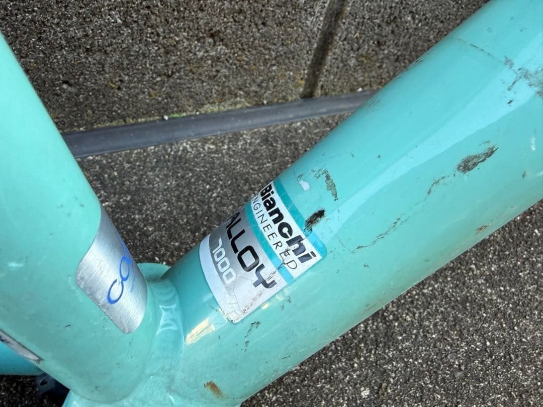 Bianchi Camaleonte BIKE Frame Set M | eBay