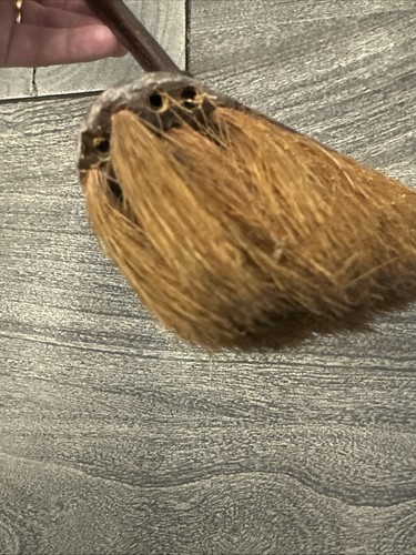 U.S. Civil War Shovel And 1800’s Horse Hair Chimney Brush. Selten! - Bild 6 von 13