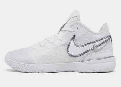 Nike Zoom LeBron NXXT Gen White Metallic | eBay