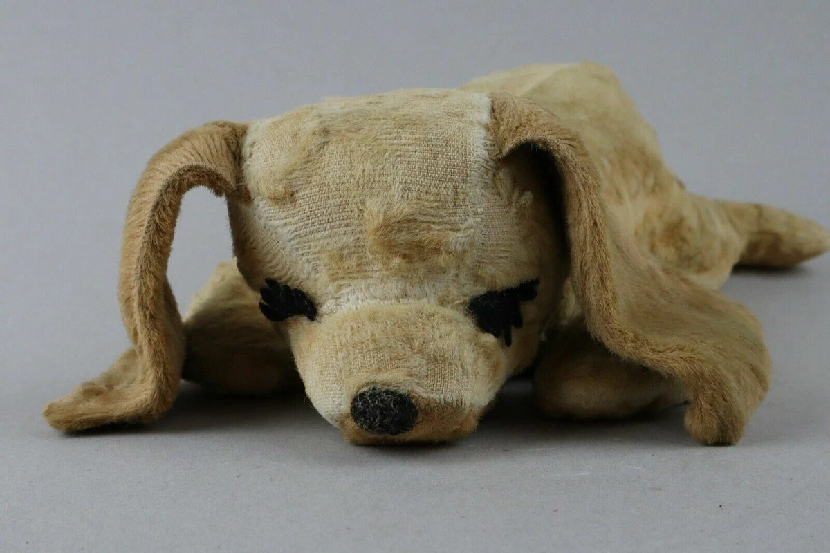 Dog in a box cheap ebay