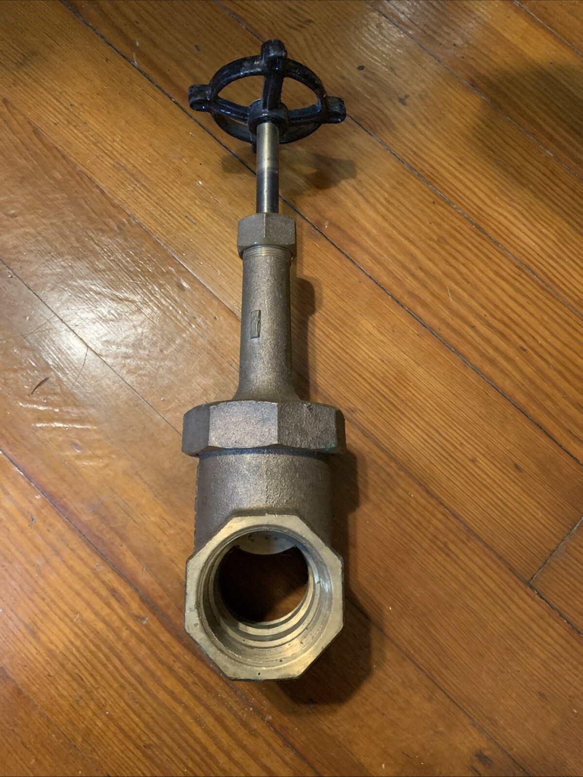 Picture 8 of 14