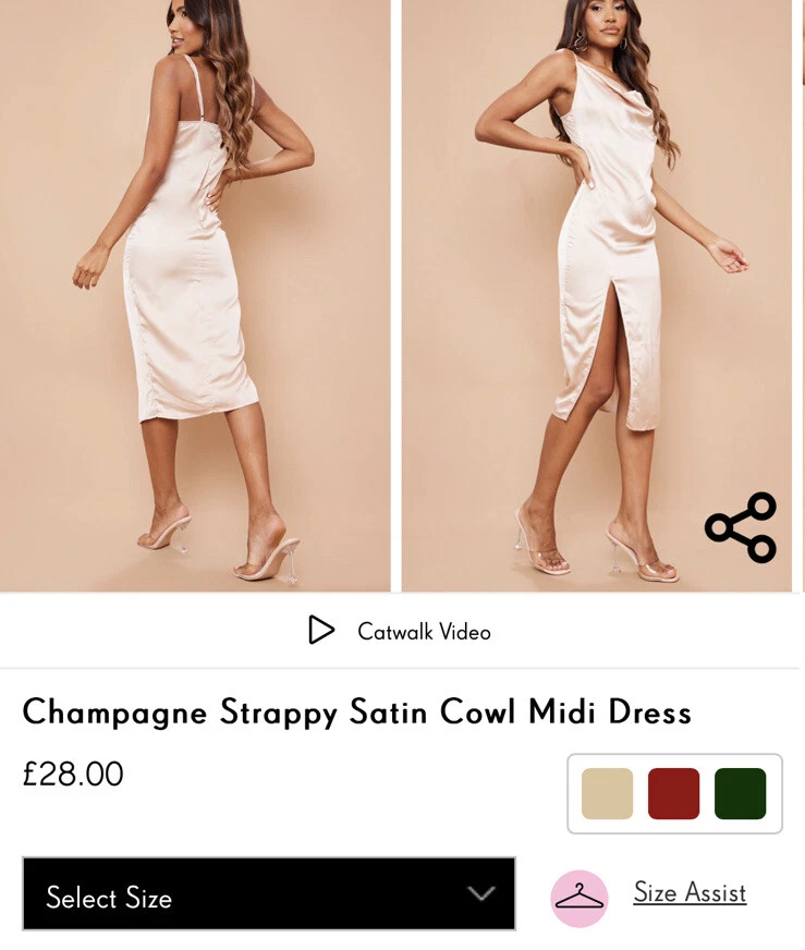 Plt champagne dress cheap