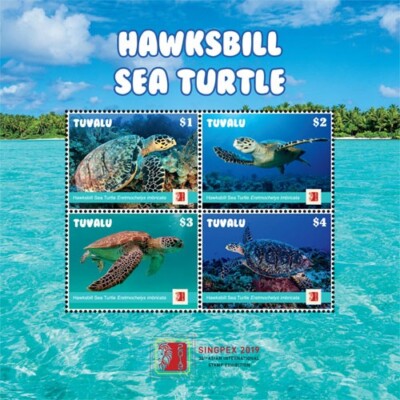 Tuvalu 2019 - Hawksbill Sea Turtle - Marine Life - Sheet of 4 stamps - MNH