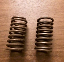 (2) Robin Subaru 208 33601 13 Valve Spring New
