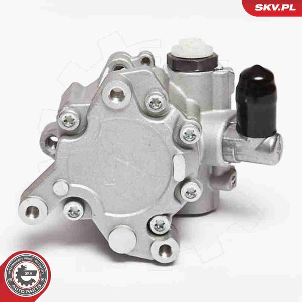 Hydraulikpumpe Lenkung Esen SKV 10SKV043 FüR W163 Klasse Mercedes Aluminium W220-image