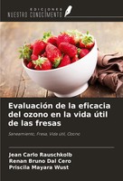 EvaluacióN De La Eficacia Del Ozono En La Vida úTil De Las Fresas Taschenbuch