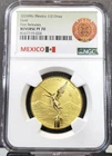 2024 Mexican Gold Libertad 1 oz — photo from another recent sale