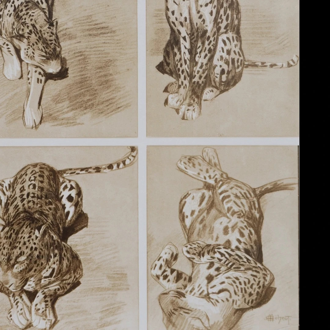 Mathurin Meheut: The Panther, Signed Lithograph, 1911 thumbnail 2