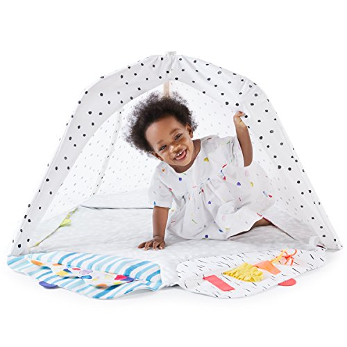 lovevery play gym used