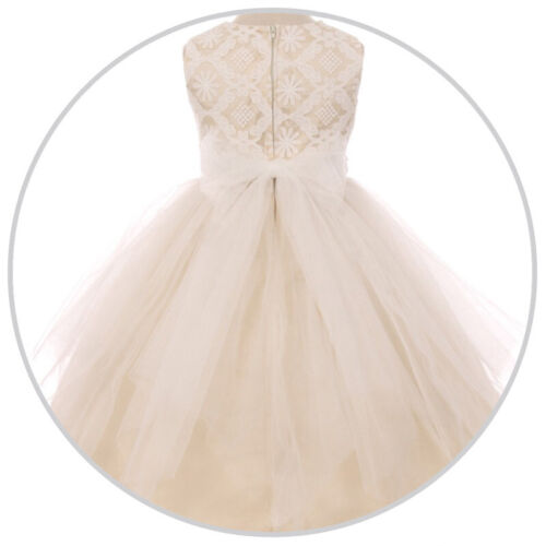 PINK Size 4 Lace Tulle Flower Girl Dress Bridesmaid Recital Birthday Party - Picture 3 of 3