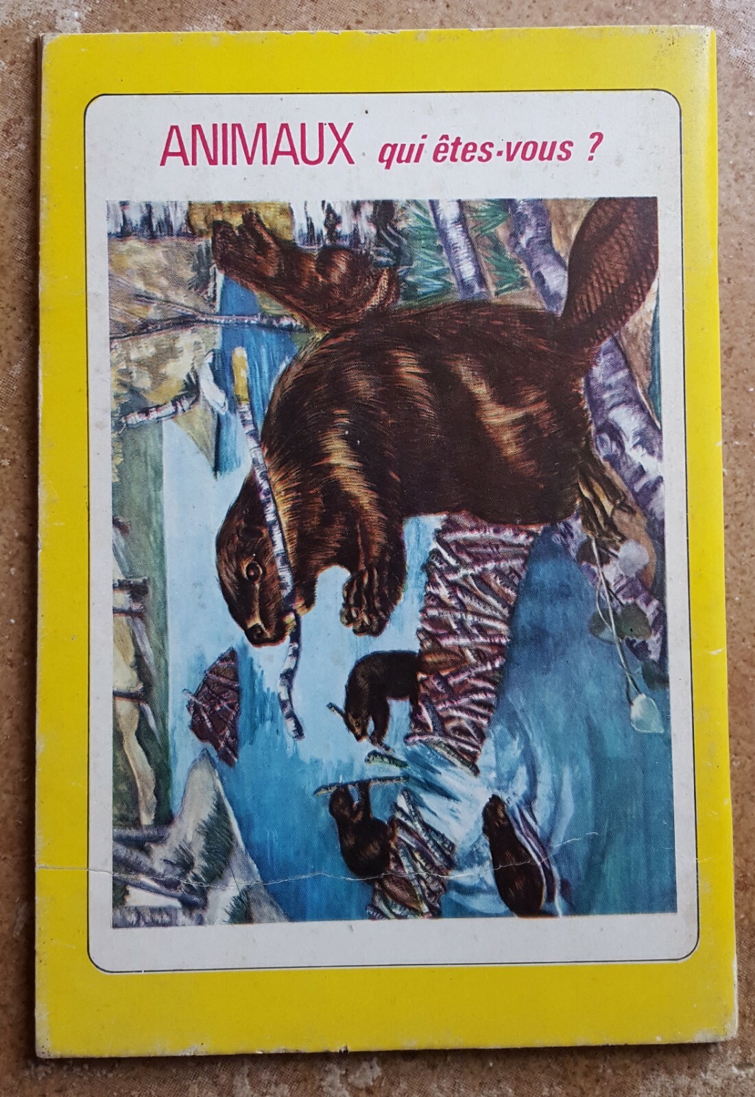 Picture 2 of 3